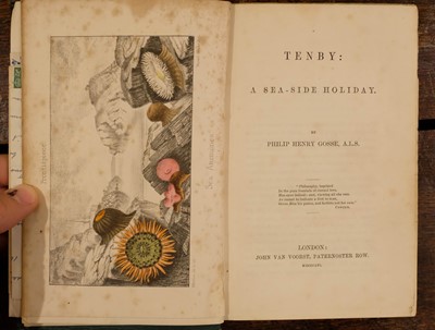 Lot 236 - Gosse (Philip Henry). Actinologia Britannica, 1st edition, 1860, & others