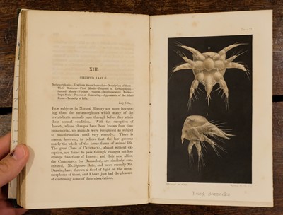 Lot 236 - Gosse (Philip Henry). Actinologia Britannica, 1st edition, 1860, & others