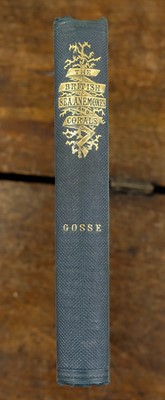 Lot 236 - Gosse (Philip Henry). Actinologia Britannica, 1st edition, 1860, & others