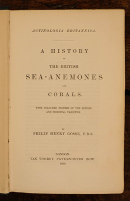 Lot 236 - Gosse (Philip Henry). Actinologia Britannica, 1st edition, 1860, & others
