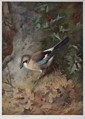 Lot 315 - Thorburn (Archibald, 1860-1935). A collection of eight colour prints, circa 1910