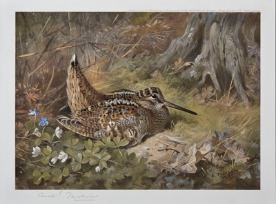 Lot 316 - Thorburn (Archibald, 1860-1935). A collection of nine prints, 1910 - 1930