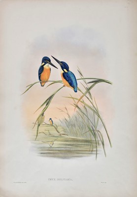 Lot 300 - Gould (John & Hart W.). A mixed collection of nine lithographs, circa 1860