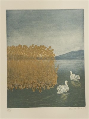Lot 383 - Totero (Antonio, illustrator). La Metamorphose , by Franz Kafka, 1975, Paris