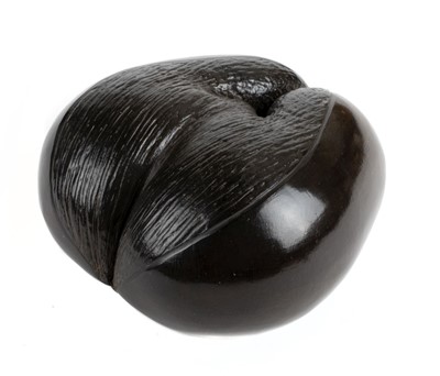 Lot 95 - Coco de Mer. A fine example of a complete Coco de Mer