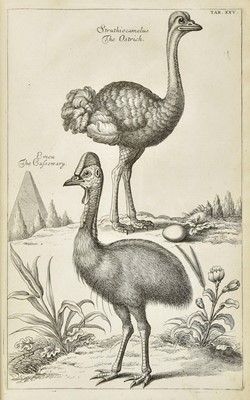 Lot 269 - Willughby (Francis, & John Ray). The Ornithology, 1st edition in English, 1678