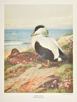 Lot 248 - Millais (John Guille). The Natural History of British Surface-Feeding Ducks, 1909, & others
