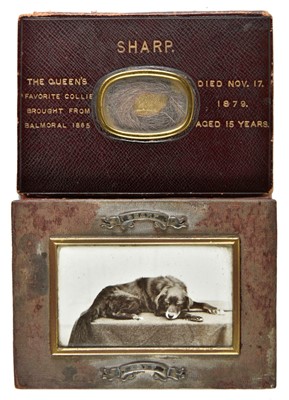 Lot 615 - Hair Jewellery - Queen Victoria's Collie (1864-1879). Sharp, the Queen's favourite collie