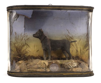 Lot 110 - Diorama. A Victorian diorama of "Jacko" the ratter c.1850