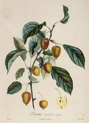 Lot 296 - Duhamel du Monceau (H. L.). A collection of thirty-four engravings, 1807 - 1835