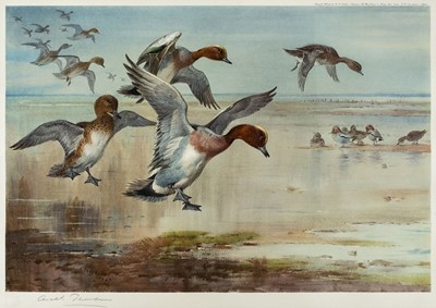 Lot 317 - Thorburn (Archibald, 1860-1935). Five prints of birds, circa 1927