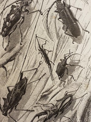 Lot 862 - Antiquarian Bindings. A collection of mostly 19th century literature & reference