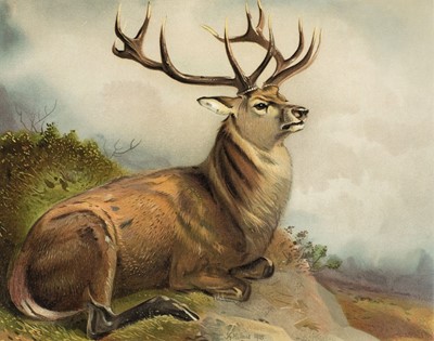 Lot 87 - Millais (John Guille). The Mammals of Great Britain and Ireland, 1st edition, 1904-6