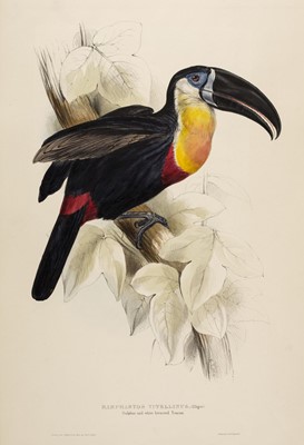 Lot 76 - Lear (Edward, 1812-1888). Ramphastos Vitellinus, 1834