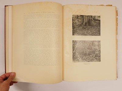 Lot 88 - Millais (John Guille). The Natural History of British Game Birds, 1909