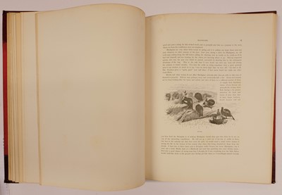 Lot 88 - Millais (John Guille). The Natural History of British Game Birds, 1909
