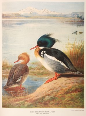 Lot 87 - Millais (John Guille). British Diving Ducks, 2 volumes, 1913