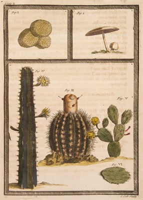 Lot 95 - Bradley (Richard). A Philosophical Account of the Works of Nature, 1721