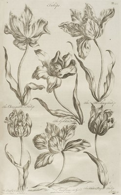 Lot 105 - Hill (John). Eden: or, a Compleat Body of Gardening, 1757