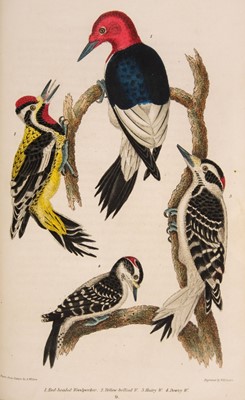 Lot 90 - Wilson (Alexander). American Ornithology; 3 volumes, 1832