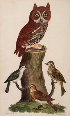 Lot 90 - Wilson (Alexander). American Ornithology; 3 volumes, 1832