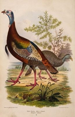 Lot 90 - Wilson (Alexander). American Ornithology; 3 volumes, 1832