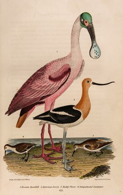 Lot 90 - Wilson (Alexander). American Ornithology; 3 volumes, 1832