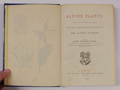 Lot 91 - Wooster (David). Alpine Plants, 2 volumes, 1872-74