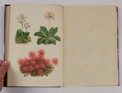 Lot 91 - Wooster (David). Alpine Plants, 2 volumes, 1872-74