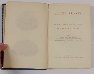 Lot 91 - Wooster (David). Alpine Plants, 2 volumes, 1872-74