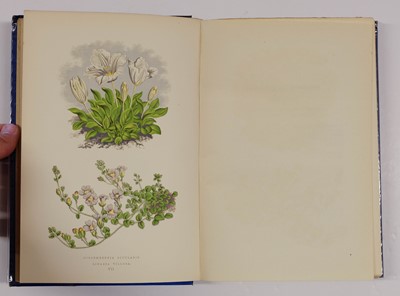Lot 91 - Wooster (David). Alpine Plants, 2 volumes, 1872-74