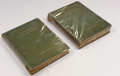 Lot 91 - Wooster (David). Alpine Plants, 2 volumes, 1872-74