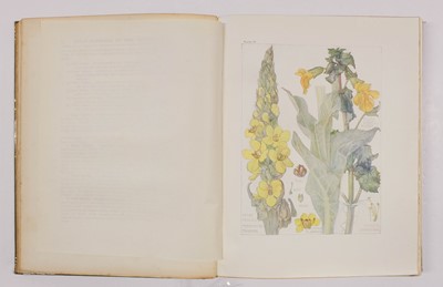 Lot 91 - Wooster (David). Alpine Plants, 2 volumes, 1872-74