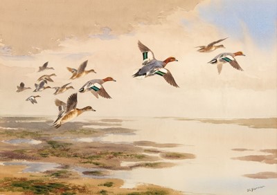 Lot 674 - Harrison (John Cyril, 1898 - 1985). Wigeon in Flight