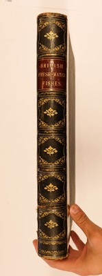 Lot 84 - Houghton (William). British Fresh-Water Fishes, 1st edition, William Mackenzie, [1879]
