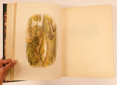Lot 84 - Houghton (William). British Fresh-Water Fishes, 1st edition, William Mackenzie, [1879]