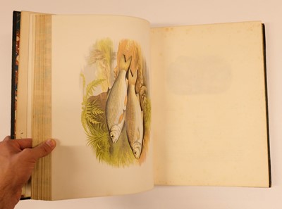 Lot 84 - Houghton (William). British Fresh-Water Fishes, 1st edition, William Mackenzie, [1879]