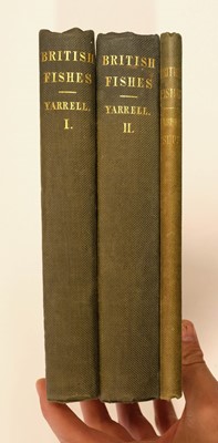 Lot 84 - Houghton (William). British Fresh-Water Fishes, 1st edition, William Mackenzie, [1879]