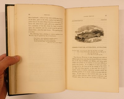 Lot 84 - Houghton (William). British Fresh-Water Fishes, 1st edition, William Mackenzie, [1879]
