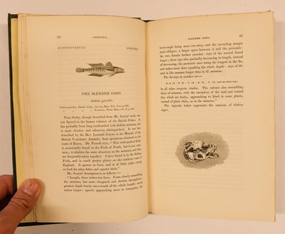 Lot 84 - Houghton (William). British Fresh-Water Fishes, 1st edition, William Mackenzie, [1879]