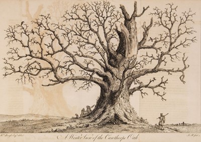 Lot 77 - Evelyn (John). Silva, 1776, & others