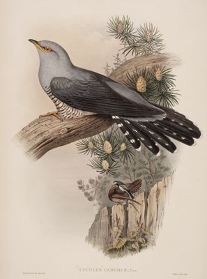 Lot 88 - Gould (J. & Richter H. C.). Cuculus Canorus, 1862 - 73