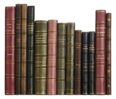 Lot 128 - Bindings. Collection of finely-bound ornithology books, 20th century