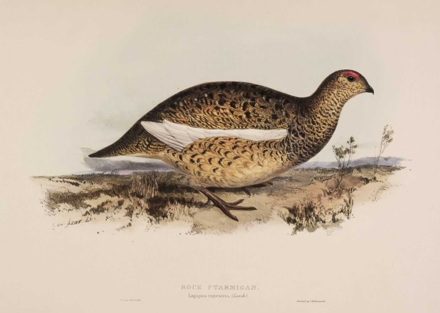 Lot 103 - Lear (Edward). Rock Ptarmigan. Lagopus rupestris, 1832 - 37