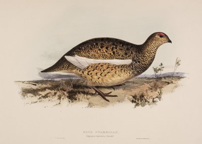 Lot 103 - Lear (Edward). Rock Ptarmigan. Lagopus rupestris, 1832 - 37