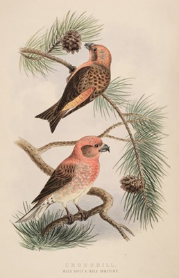 Lot 130 - Booth (E. T.). Rough Notes on Birds Observed during Twenty-Five Years' Shooting, 1st edition, 1881-7