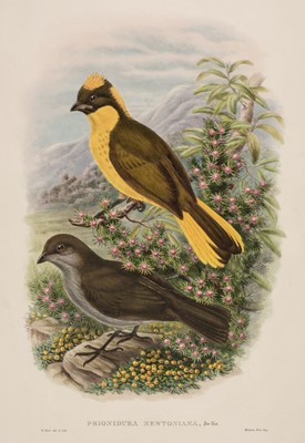 Lot 86 - Gould (J. & Hart W.), Six prints from The Birds of New Guinea 1875 - 88