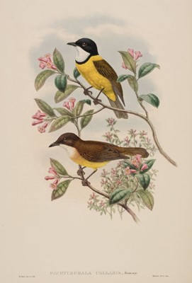 Lot 85 - Gould (J. & Hart W.), Six lithographs from The Birds of New Guinea, 1875 - 88