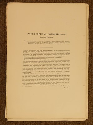 Lot 85 - Gould (J. & Hart W.), Six lithographs from The Birds of New Guinea, 1875 - 88