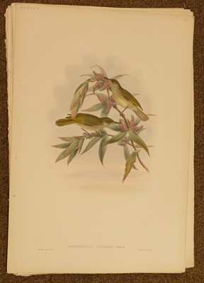 Lot 85 - Gould (J. & Hart W.), Six lithographs from The Birds of New Guinea, 1875 - 88